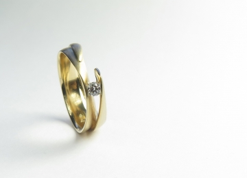 Geel gouden ring ERB2_Vincent_van_Hees.jpg