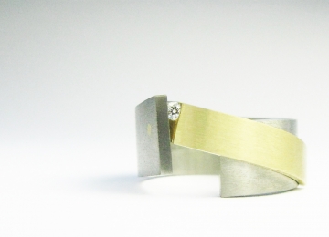 Titanium/ geel gouden ring mr_218_voor_fotolijstje.jpg